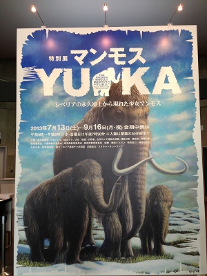 s-_YUKA_ (2).jpg
